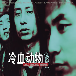 国产精品自在线拍
