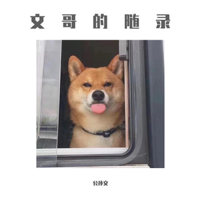 国产精品自在线拍
