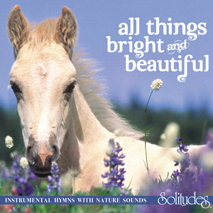 国产精品自在线拍
