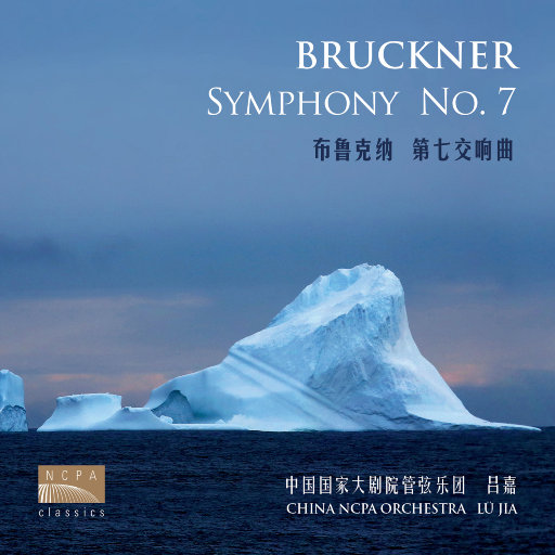 国产精品自在线拍
