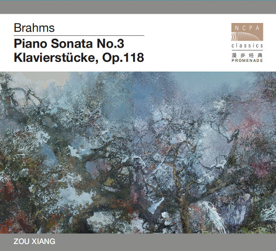 国产精品自在线拍
